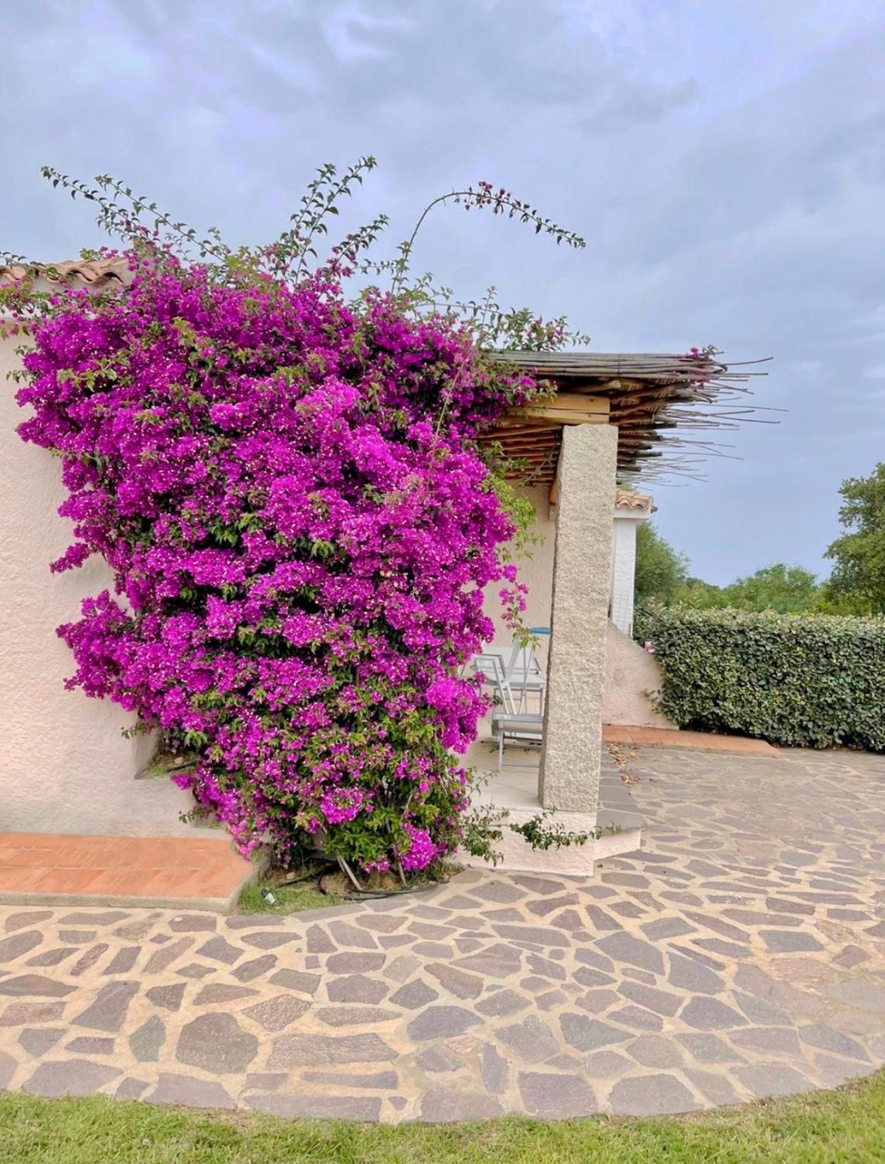 קניגיונה Residence Capraggia מראה חיצוני תמונה